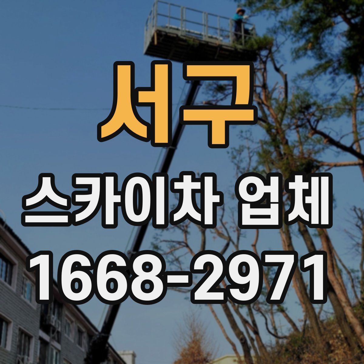 서구 스카이차 업체