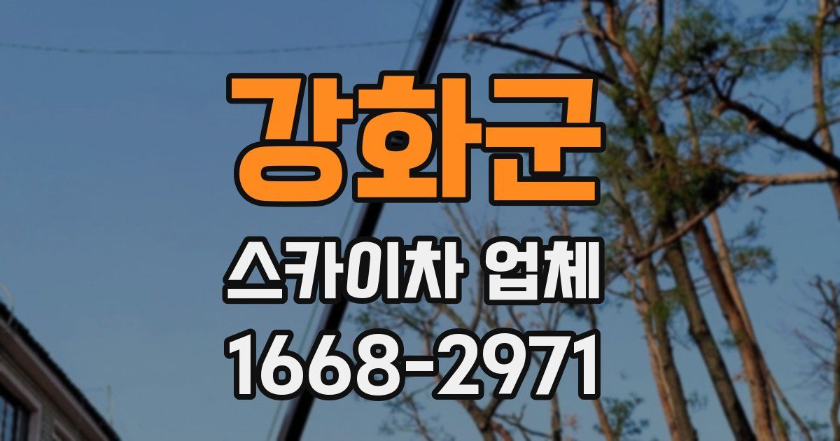 강화군 스카이차 업체