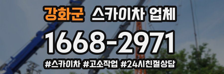 강화군 스카이차 업체