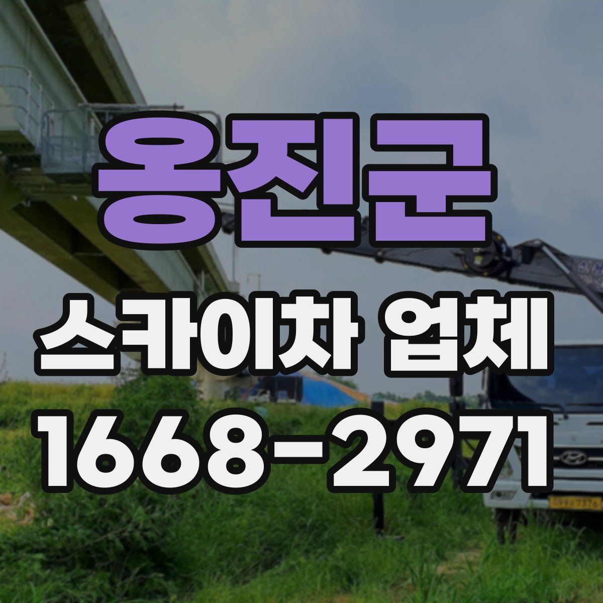 옹진군 스카이차 업체