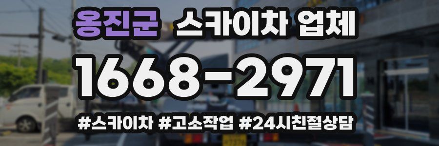 옹진군 스카이차 업체