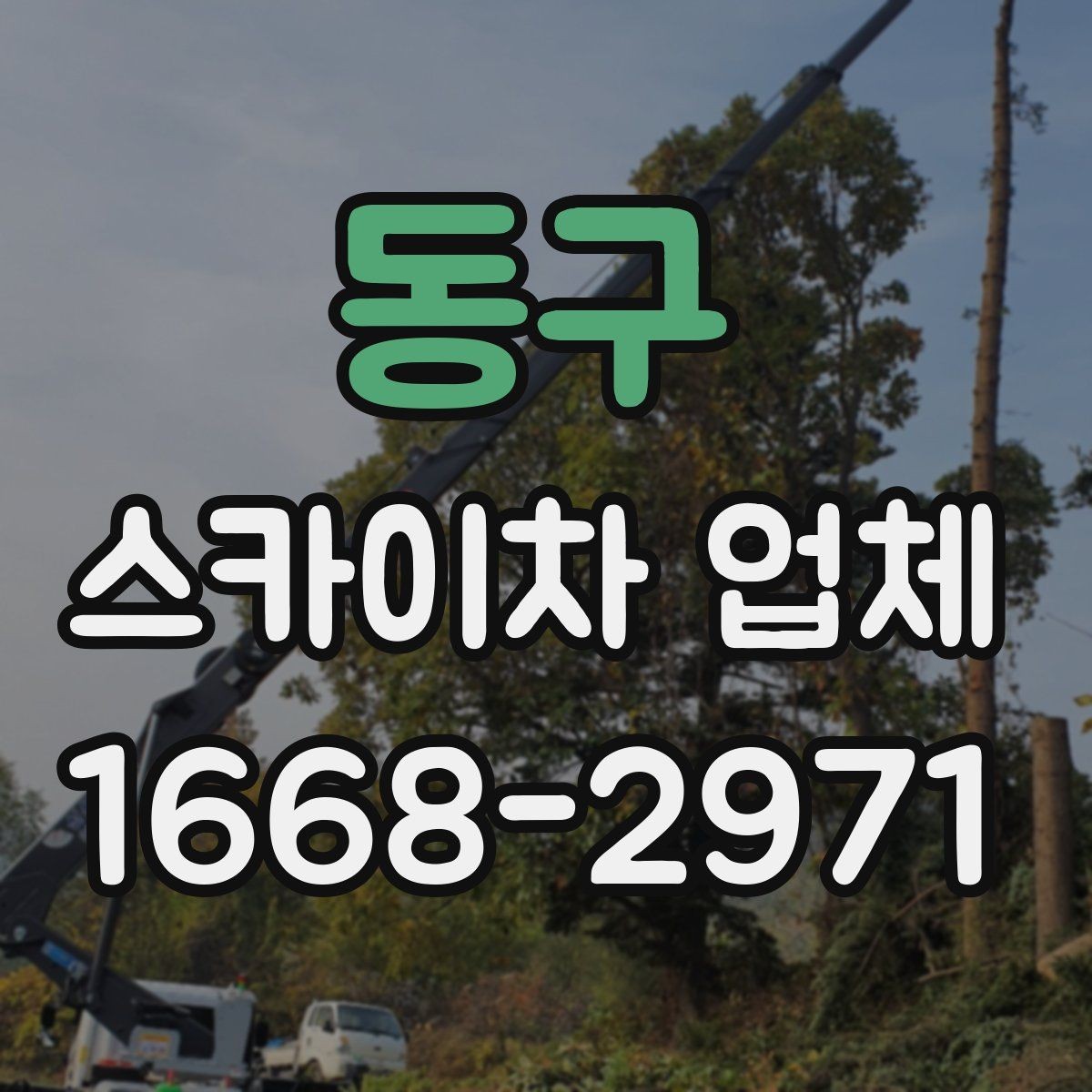 동구 스카이차 업체 선택에서 기사 숙련도가 중요한 이유