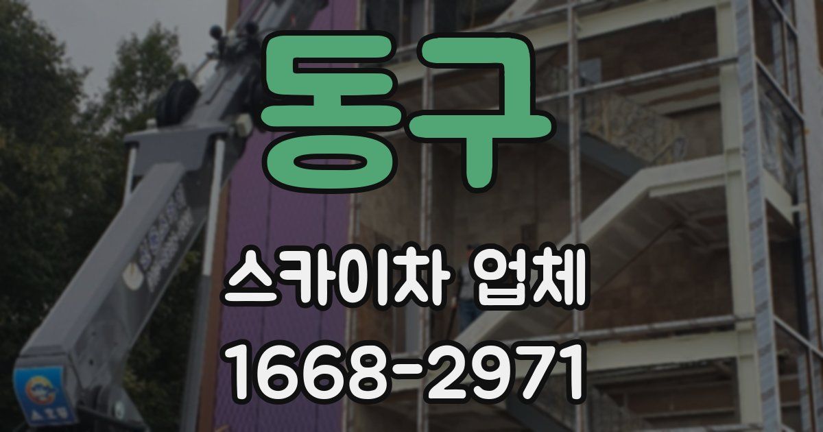 동구 스카이차 업체