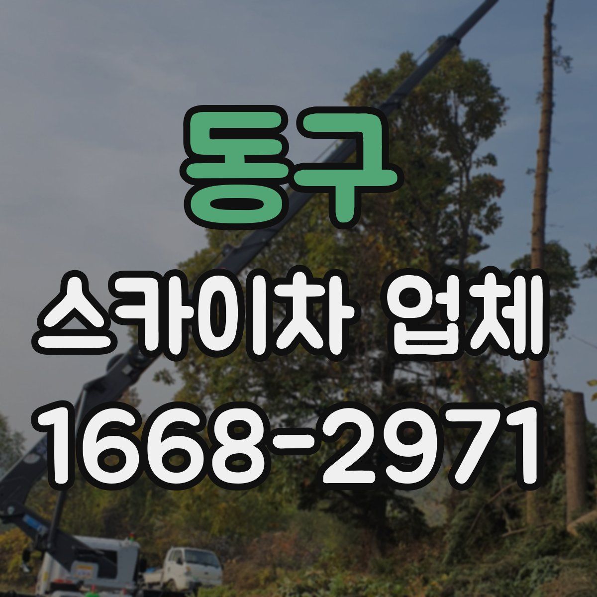동구 스카이차 업체