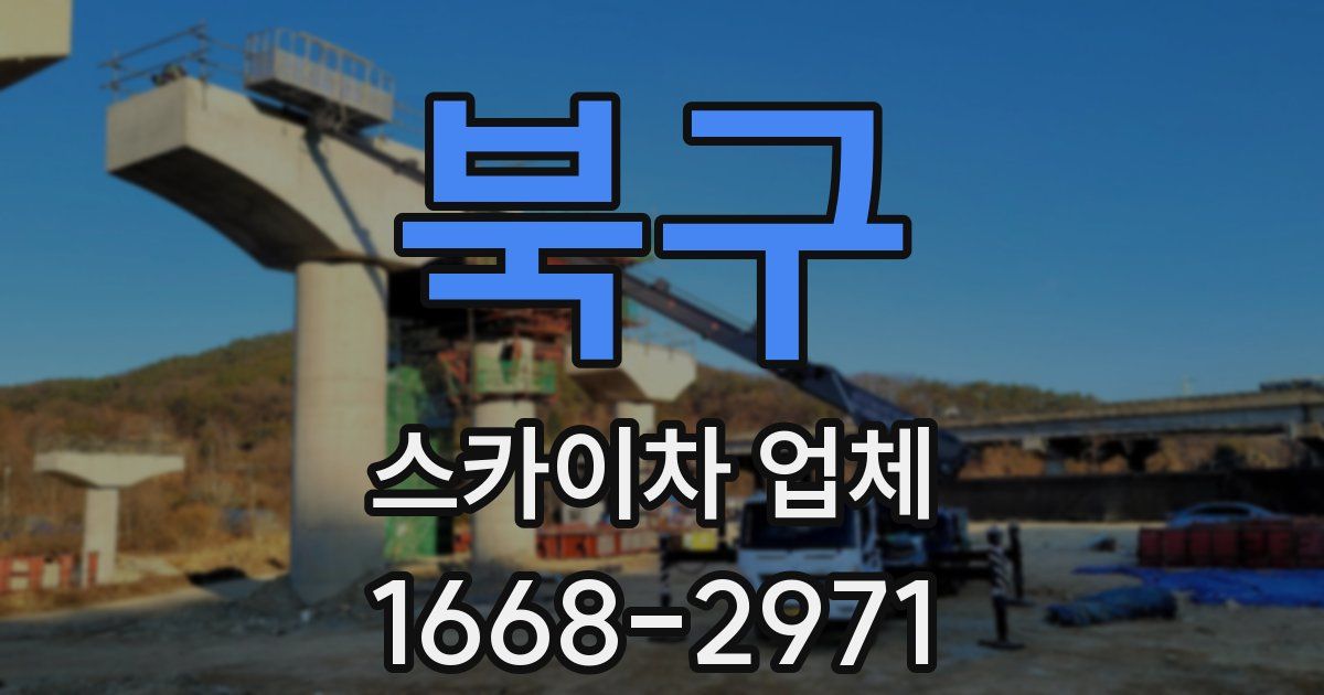 북구 스카이차 업체