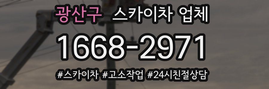 광산구 스카이차 업체