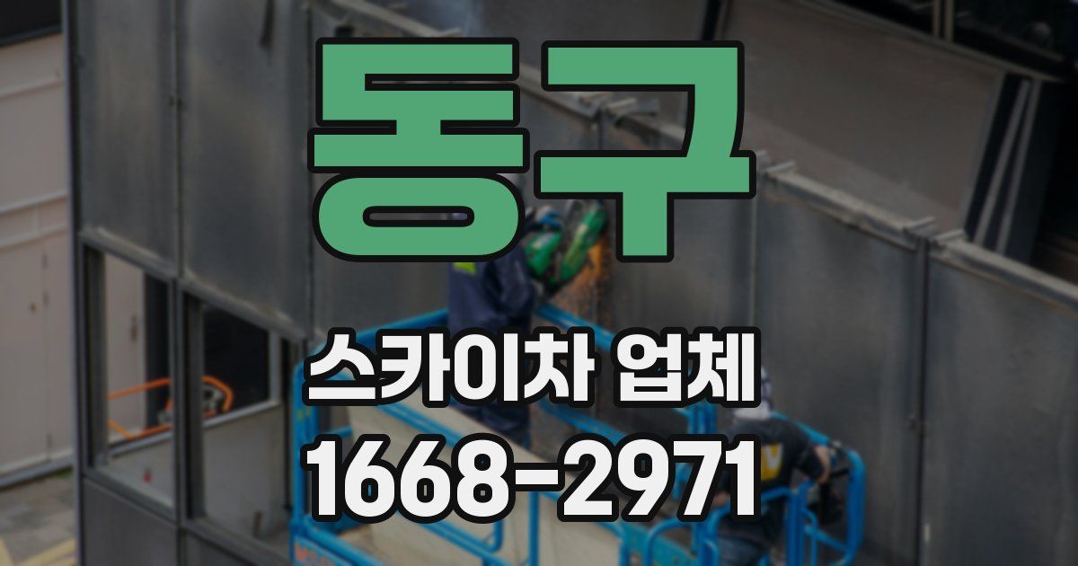 동구 스카이차 업체