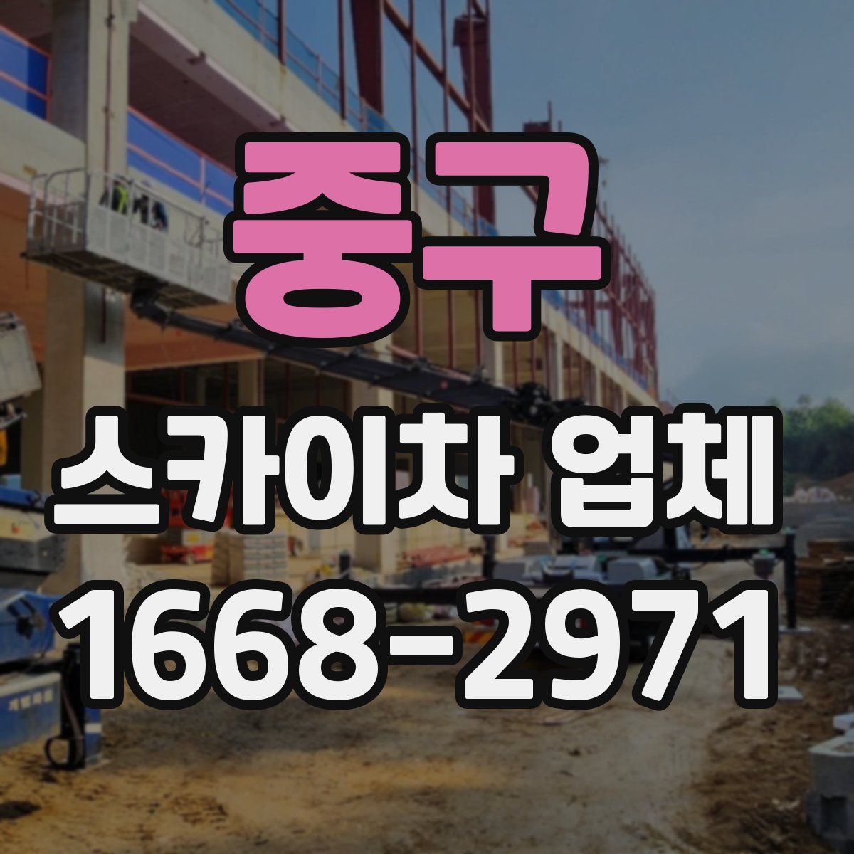 중구 스카이차 업체