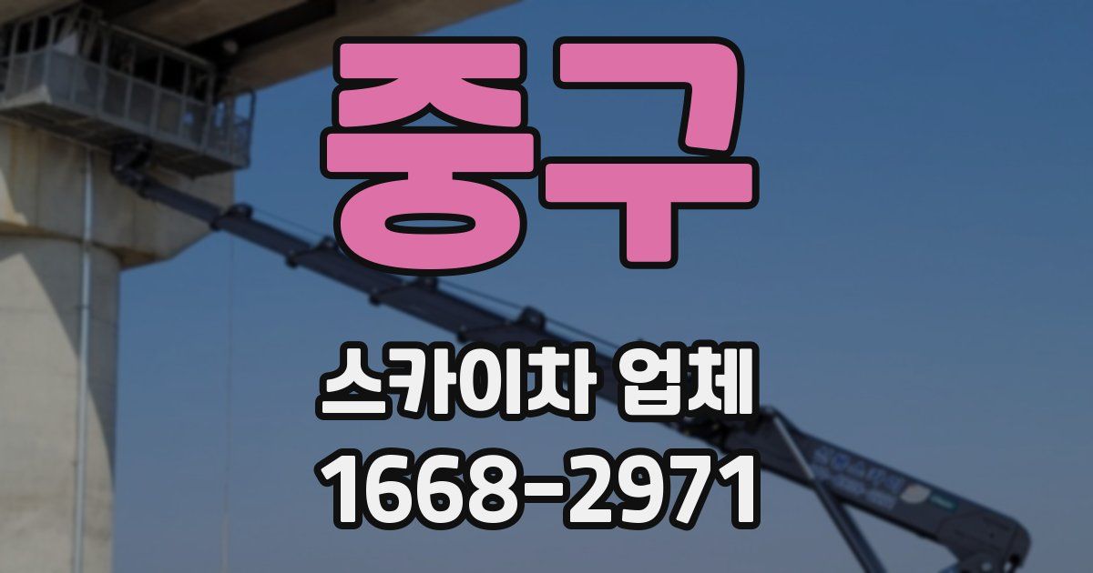 중구 스카이차 업체