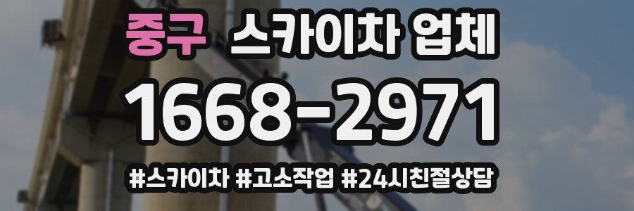 중구 스카이차 업체