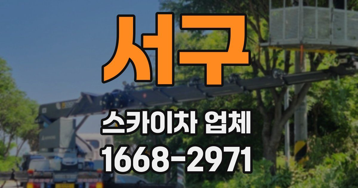 서구 스카이차 업체