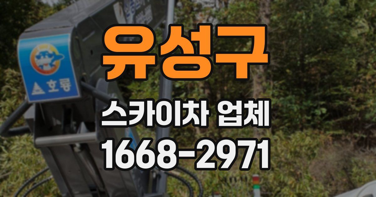 유성구 스카이차 업체