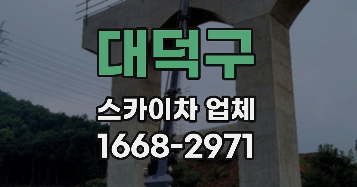 대덕구 스카이차 업체