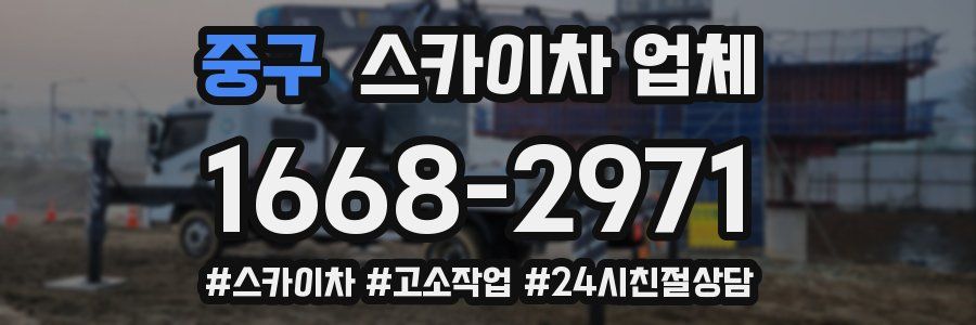 중구 스카이차 업체