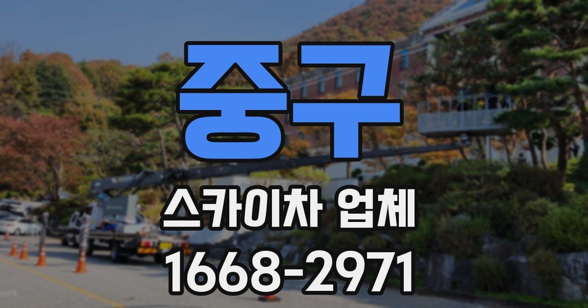 중구 스카이차 업체