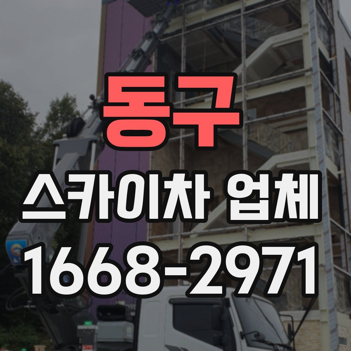 동구 스카이차 업체