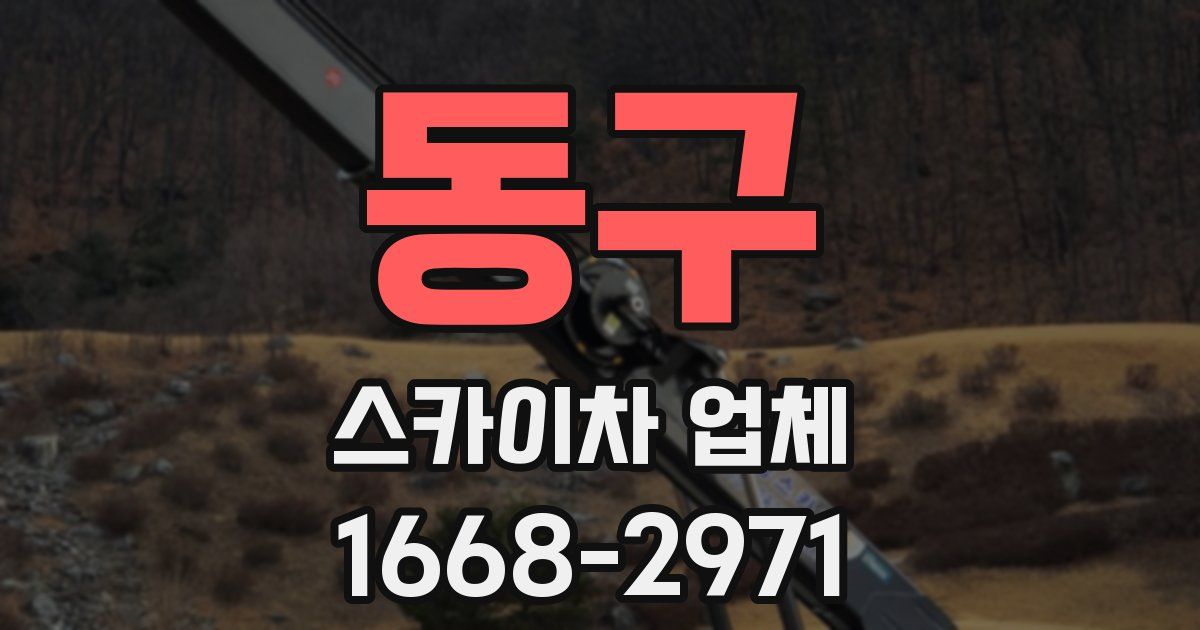 동구 스카이차 업체