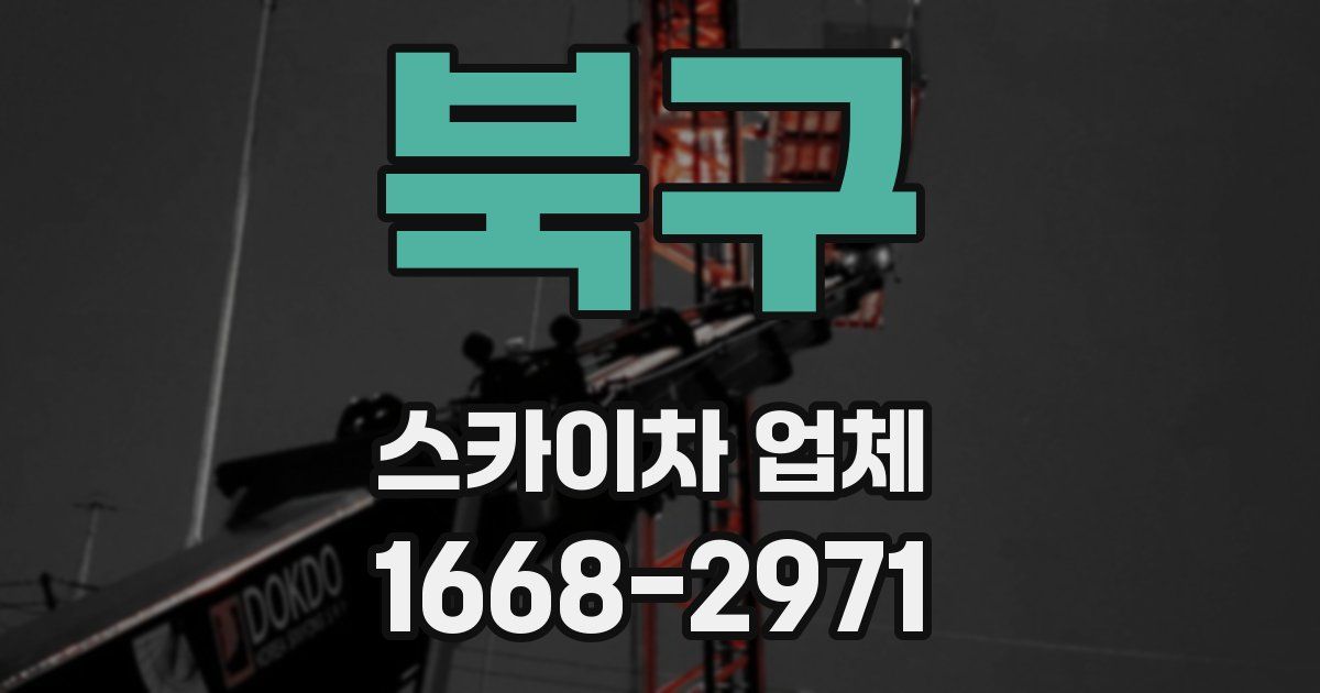 북구 스카이차 업체