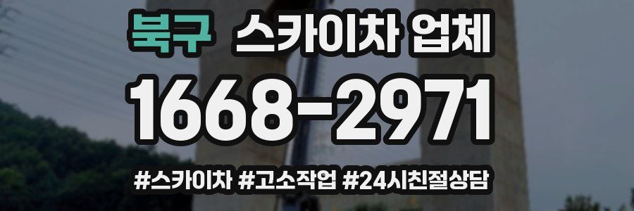 북구 스카이차 업체