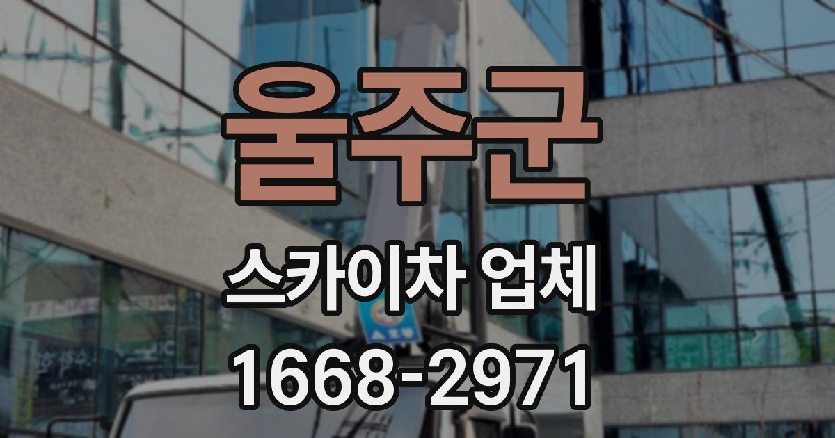 울주군 스카이차 업체