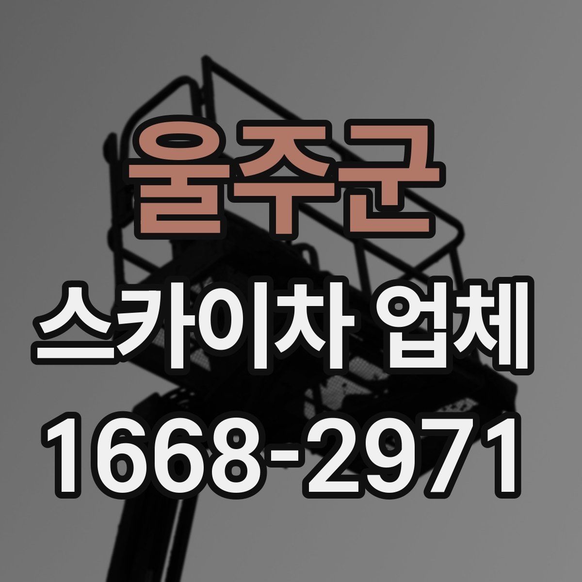 울주군 스카이차 업체
