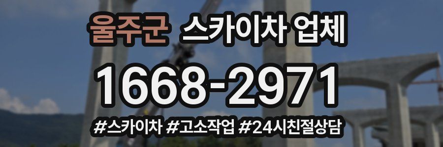 울주군 스카이차 업체