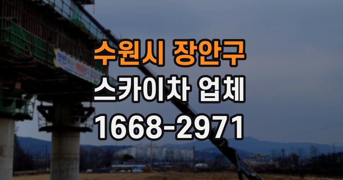 수원시 장안구 스카이차 업체