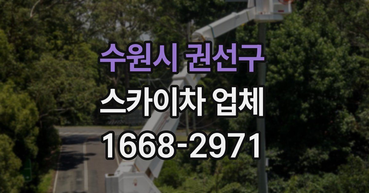 수원시 권선구 스카이차 업체