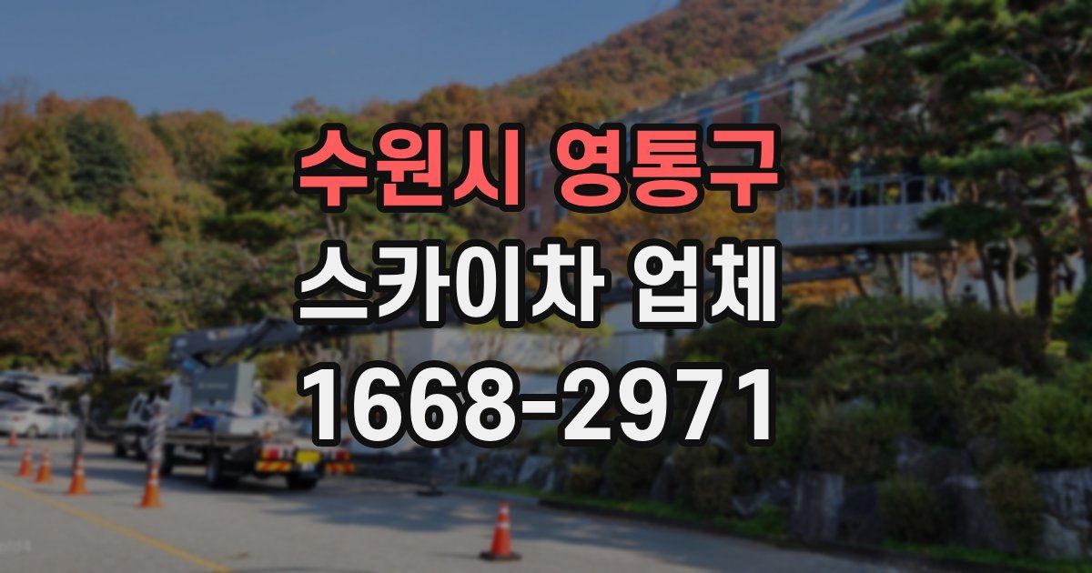 수원시 영통구 스카이차 업체