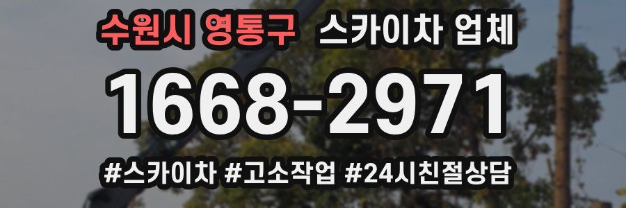 수원시 영통구 스카이차 업체