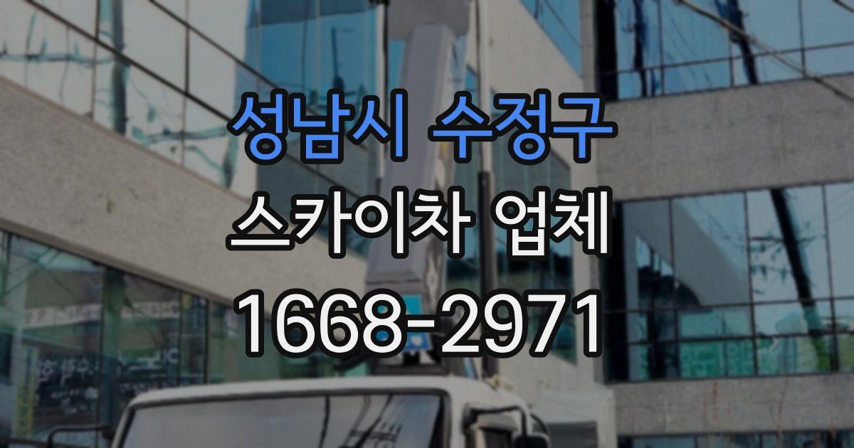 성남시 수정구 스카이차 업체