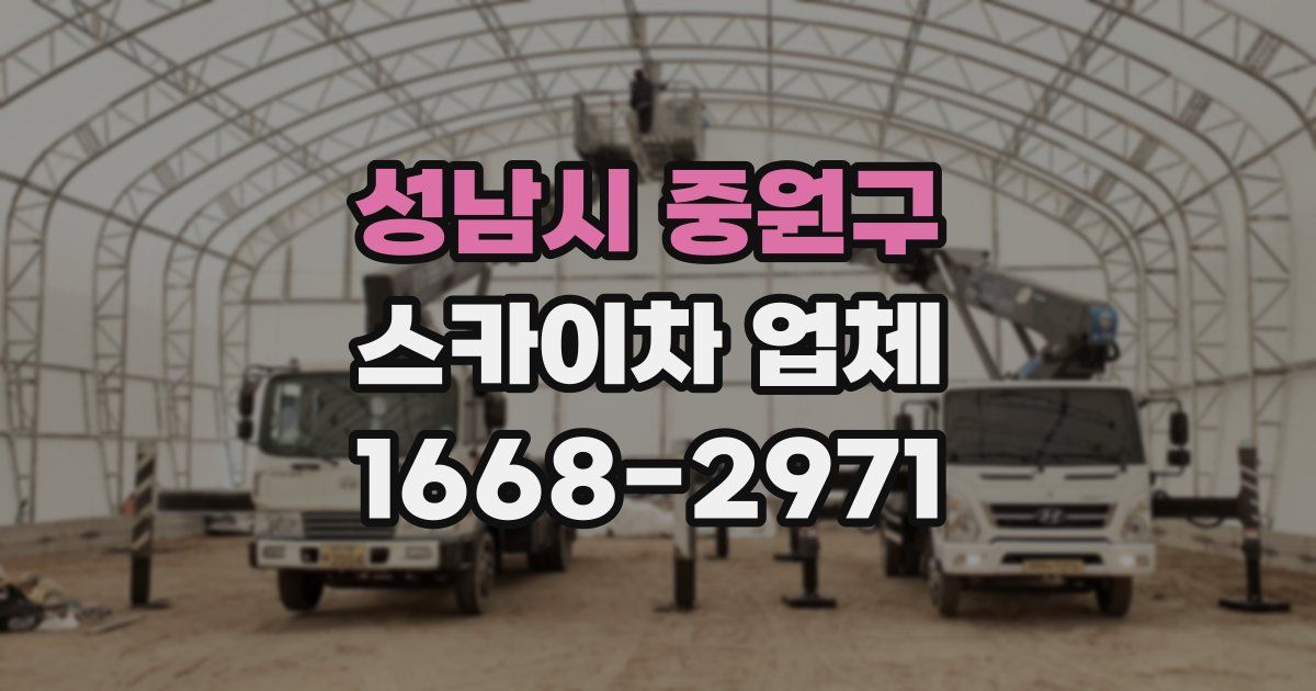 성남시 중원구 스카이차 업체