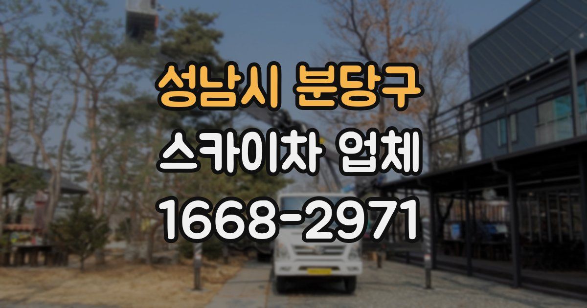 성남시 분당구 스카이차 업체