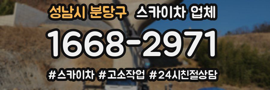 성남시 분당구 스카이차 업체