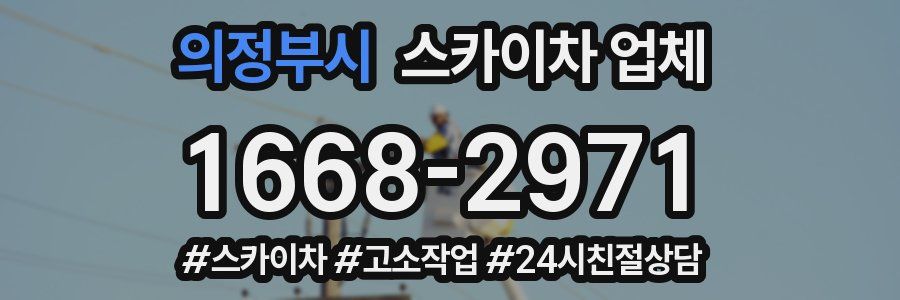 의정부시 스카이차 업체