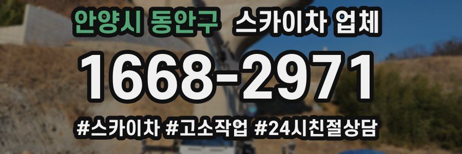 안양시 동안구 스카이차 업체