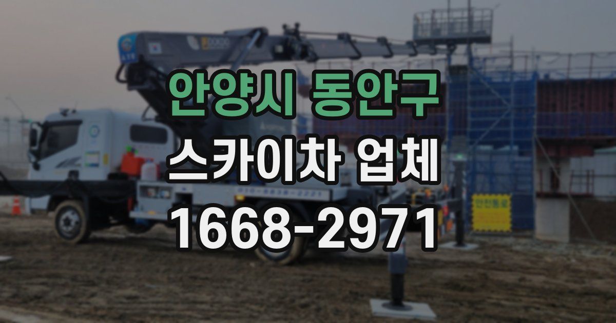 안양시 동안구 스카이차 업체