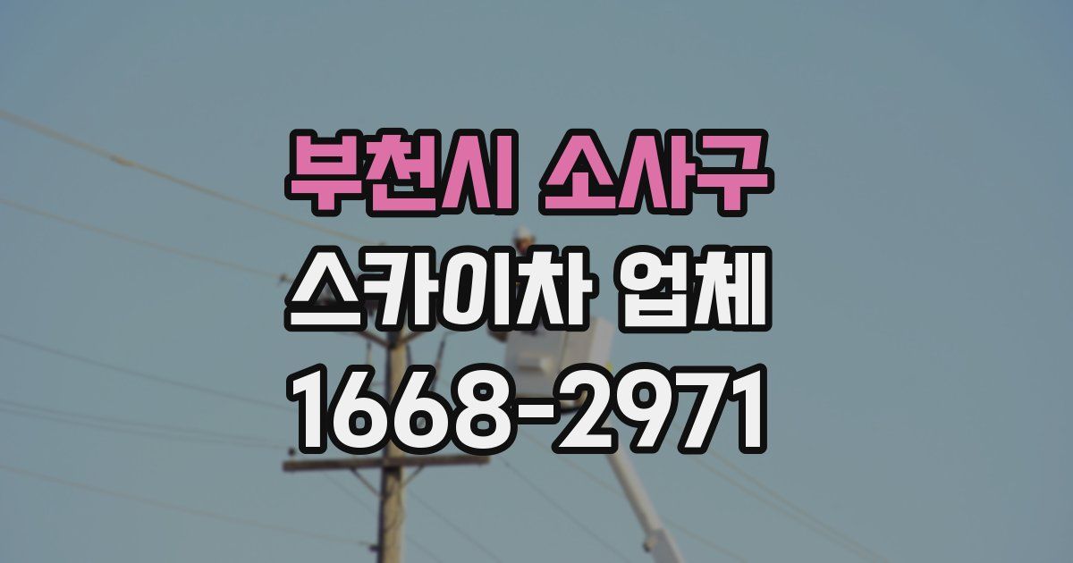 부천시 소사구 스카이차 업체