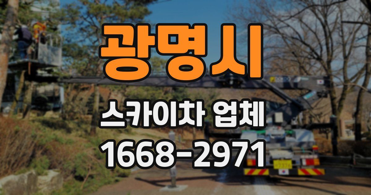 광명시 스카이차 업체
