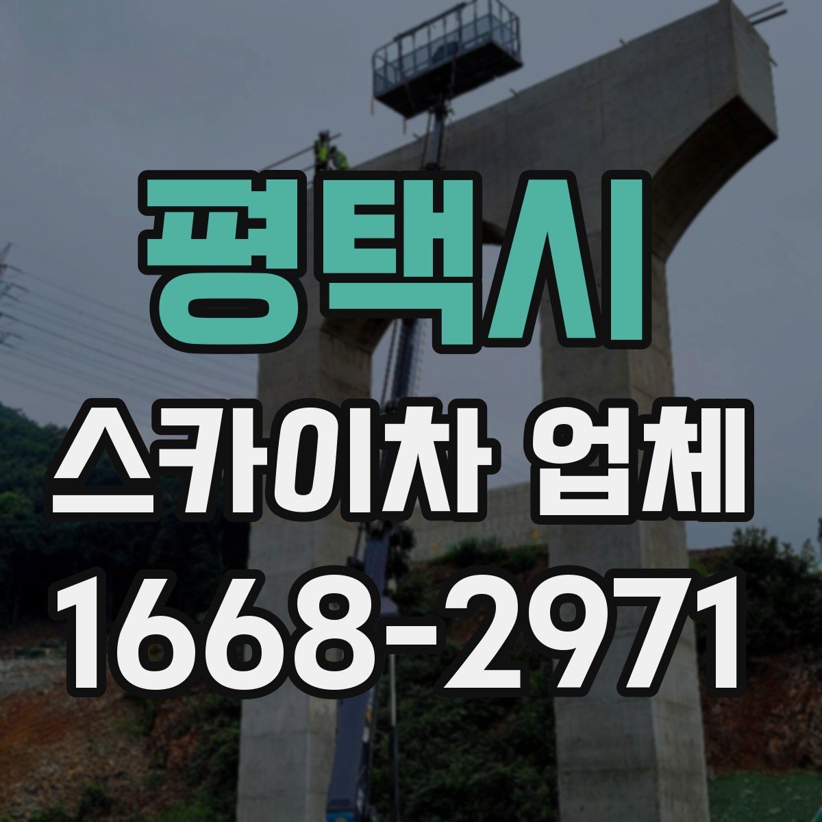 평택시 스카이차 업체