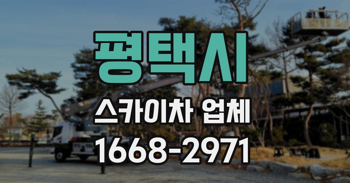 평택시 스카이차 업체