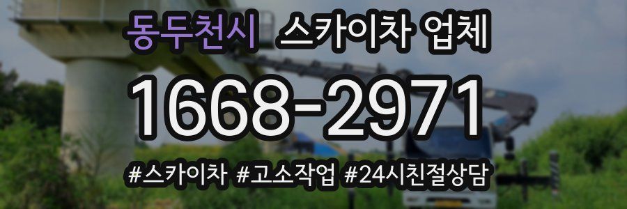 동두천시 스카이차 업체