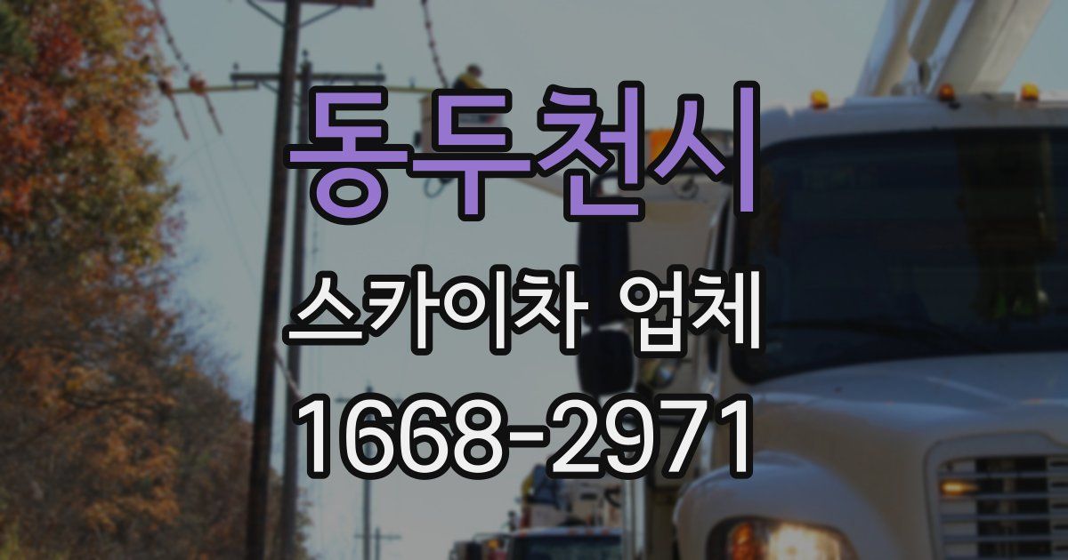 동두천시 스카이차 업체