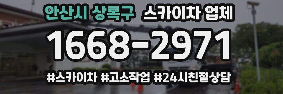 안산시 상록구 스카이차 업체
