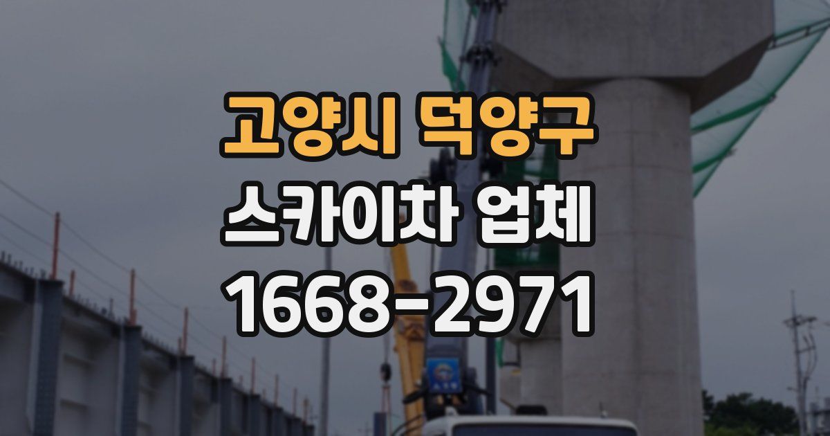 고양시 덕양구 스카이차 업체