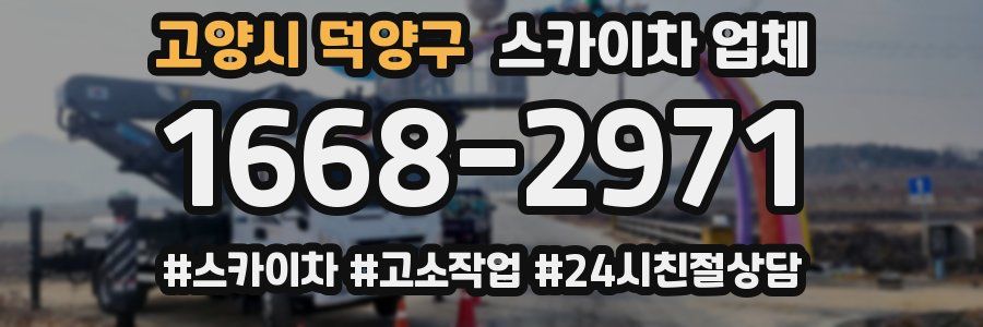 고양시 덕양구 스카이차 업체