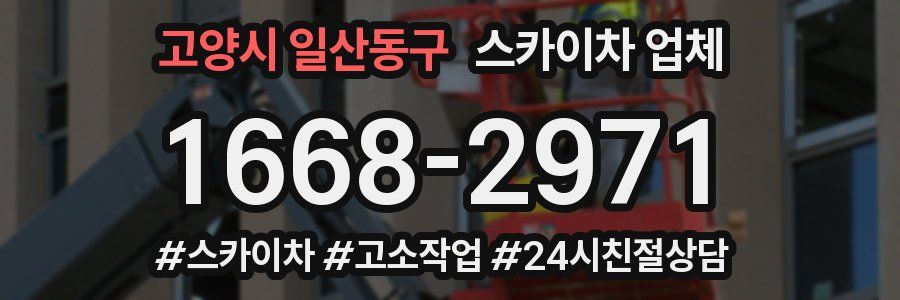 고양시 일산동구 스카이차 업체