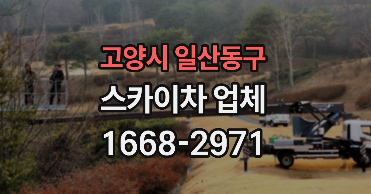 고양시 일산동구 스카이차 업체