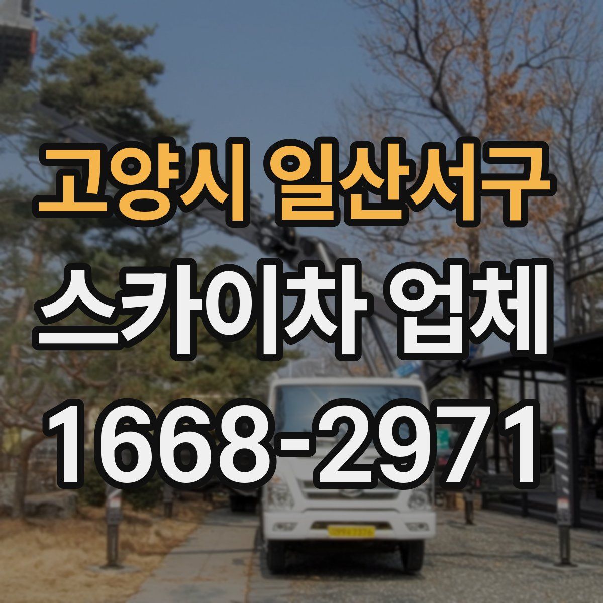 고양시 일산서구 스카이차 업체