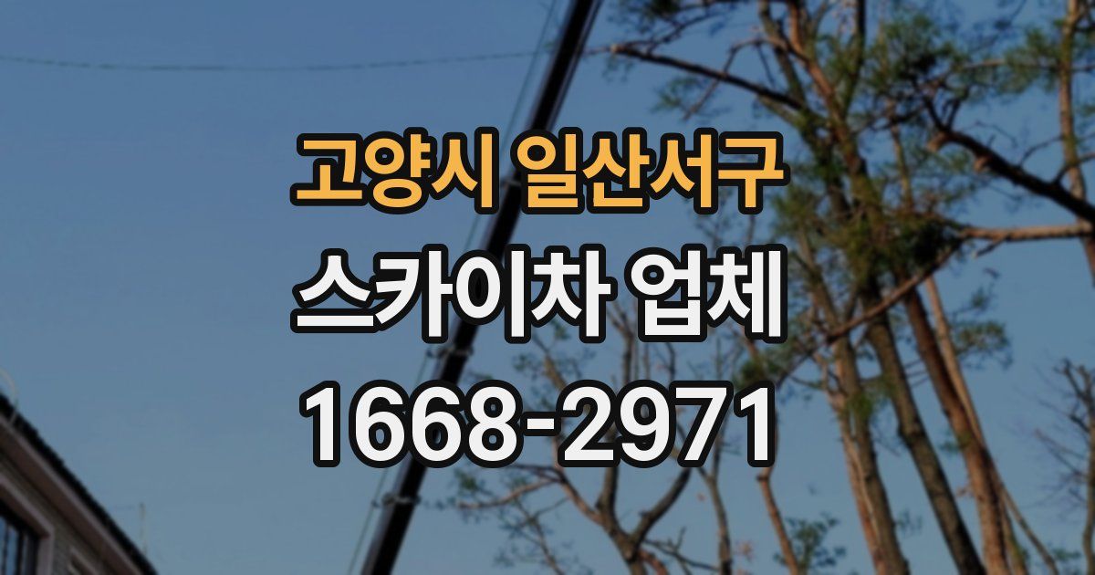 고양시 일산서구 스카이차 업체